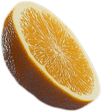 orange1.png